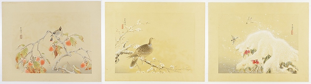 お気に入りの 【新品】日本画色紙 雪中棲小禽(せっちゅうせい 